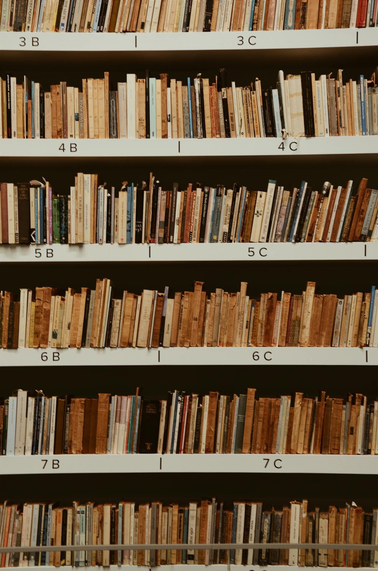 Books filed on book shelves in a library